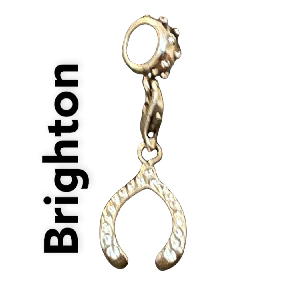 COPY - COPY - Silver Wishbone Brighton Charm
